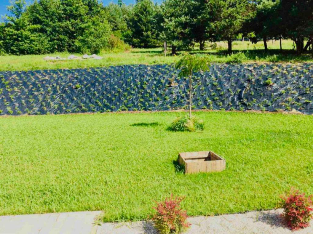 Vendvideki Pihenohazak Apartment Felsőszölnök Bagian luar foto